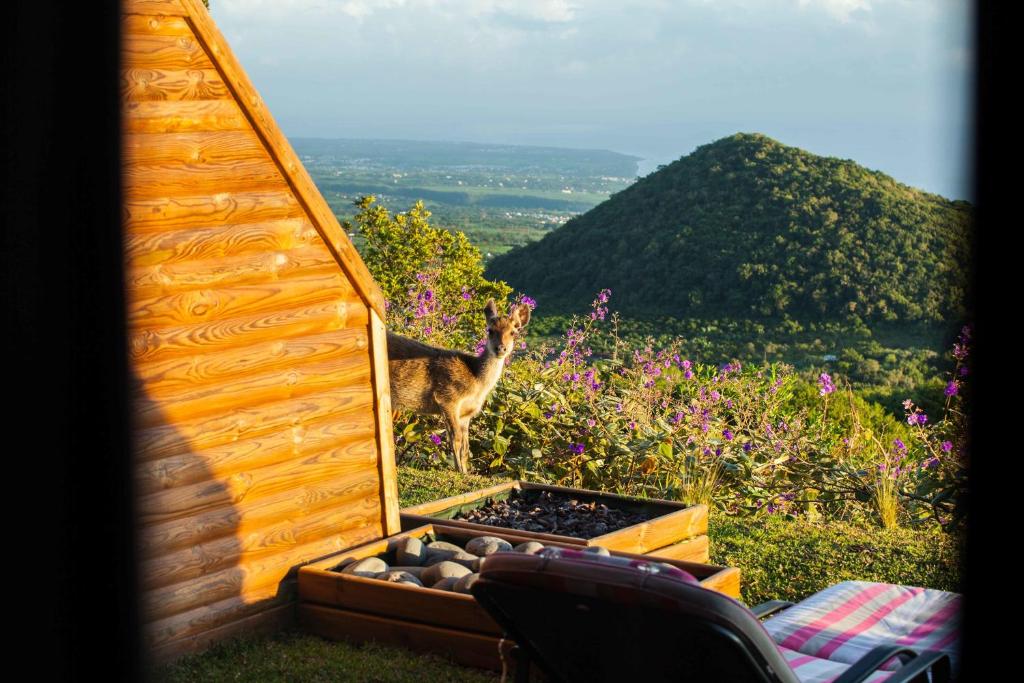 Des chambres et villas pensées pour l’évasion