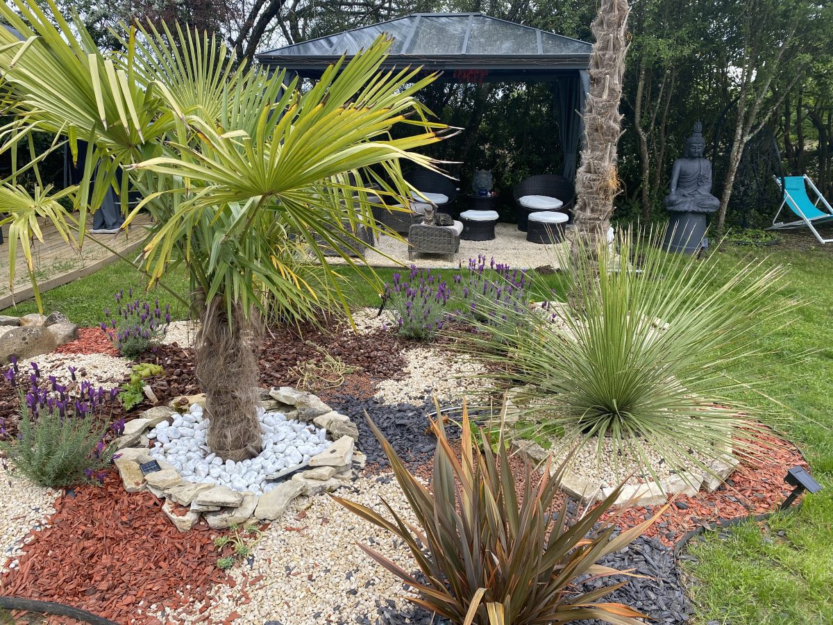 IMG_5312-439a106925c508b6a7eb693e0d8e13be