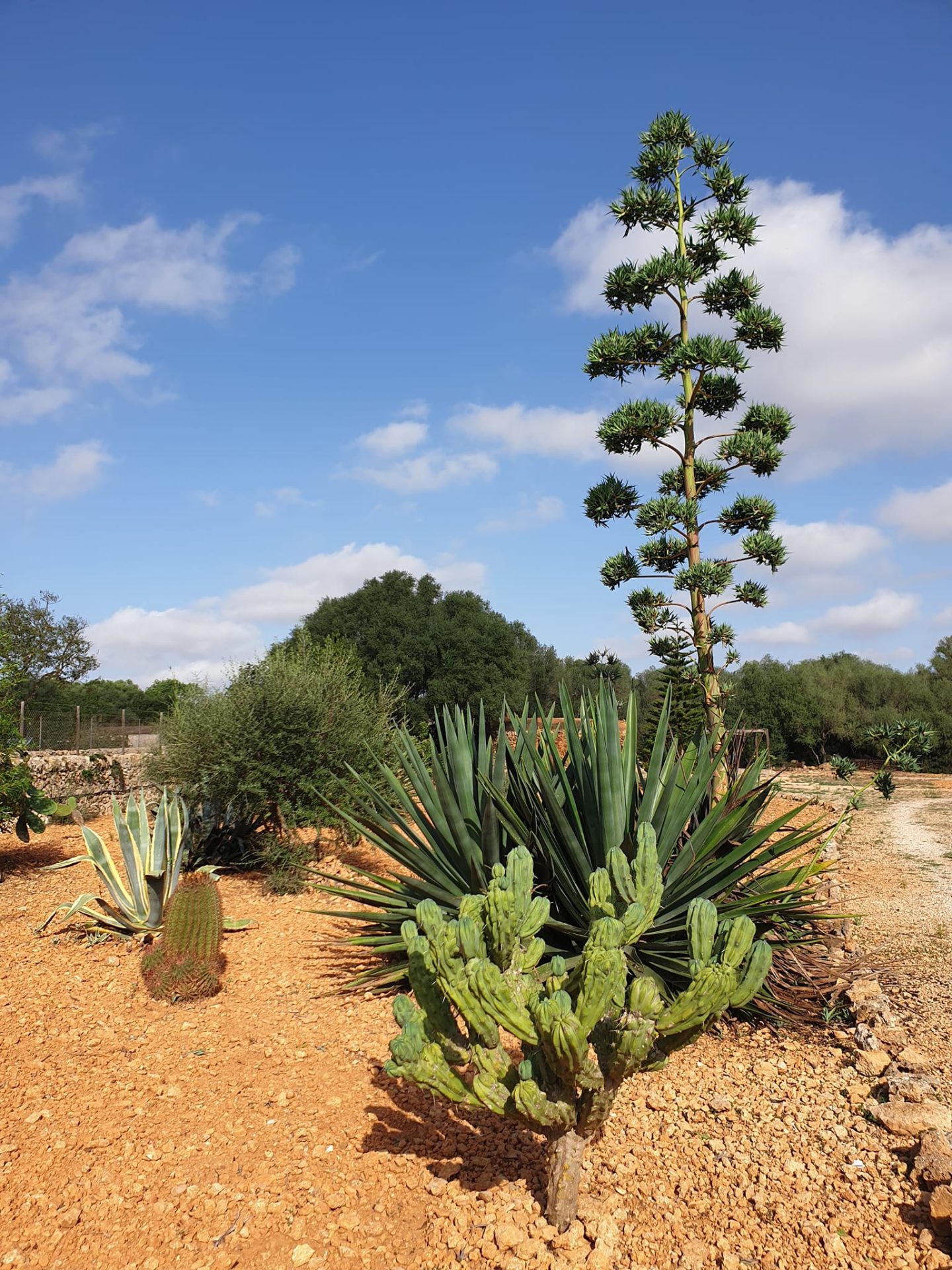 274369965_1116904022392694_7900153027517143939_n