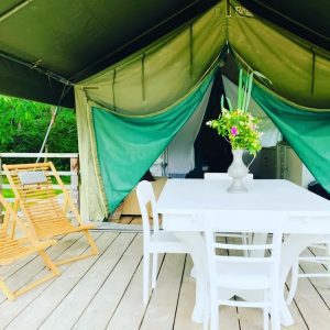 284501240_431591168967333_6138068170344700177_n