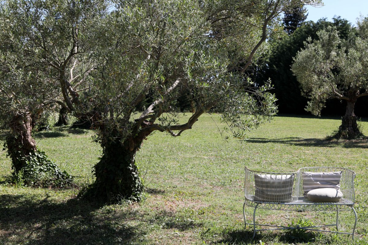 DU6A8121-8de9e589fe7e486a596d628c79d7074b