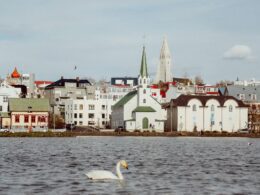 Bons plans à Reykjavik