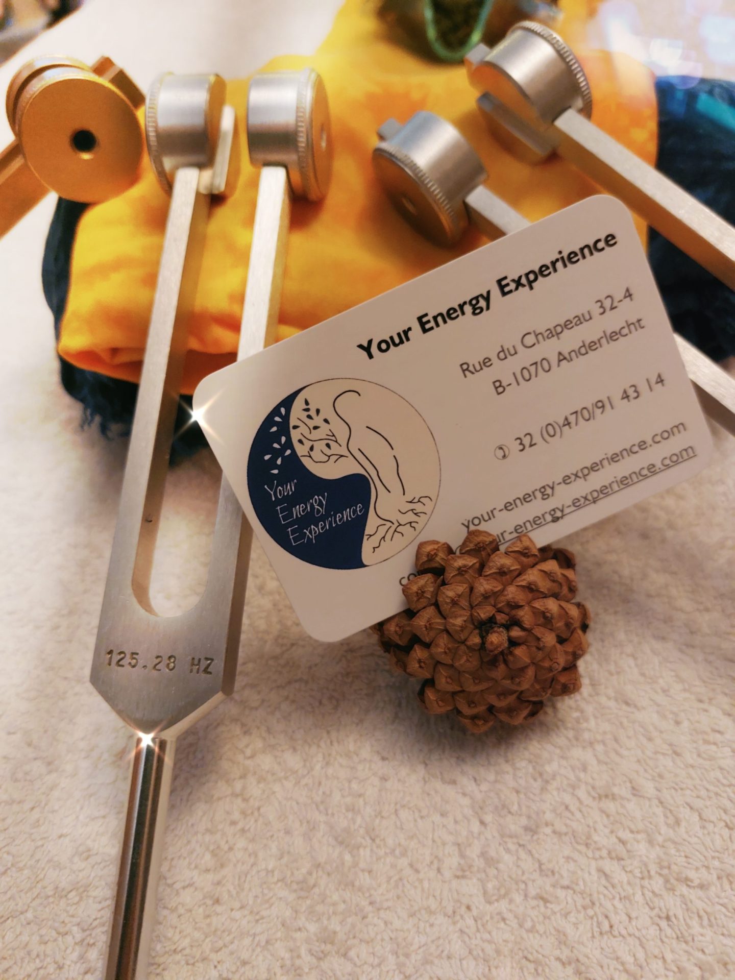 8 20220921_155249 retouchée