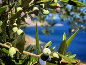 92377987-17FF-412A-9D37-3018BBC4