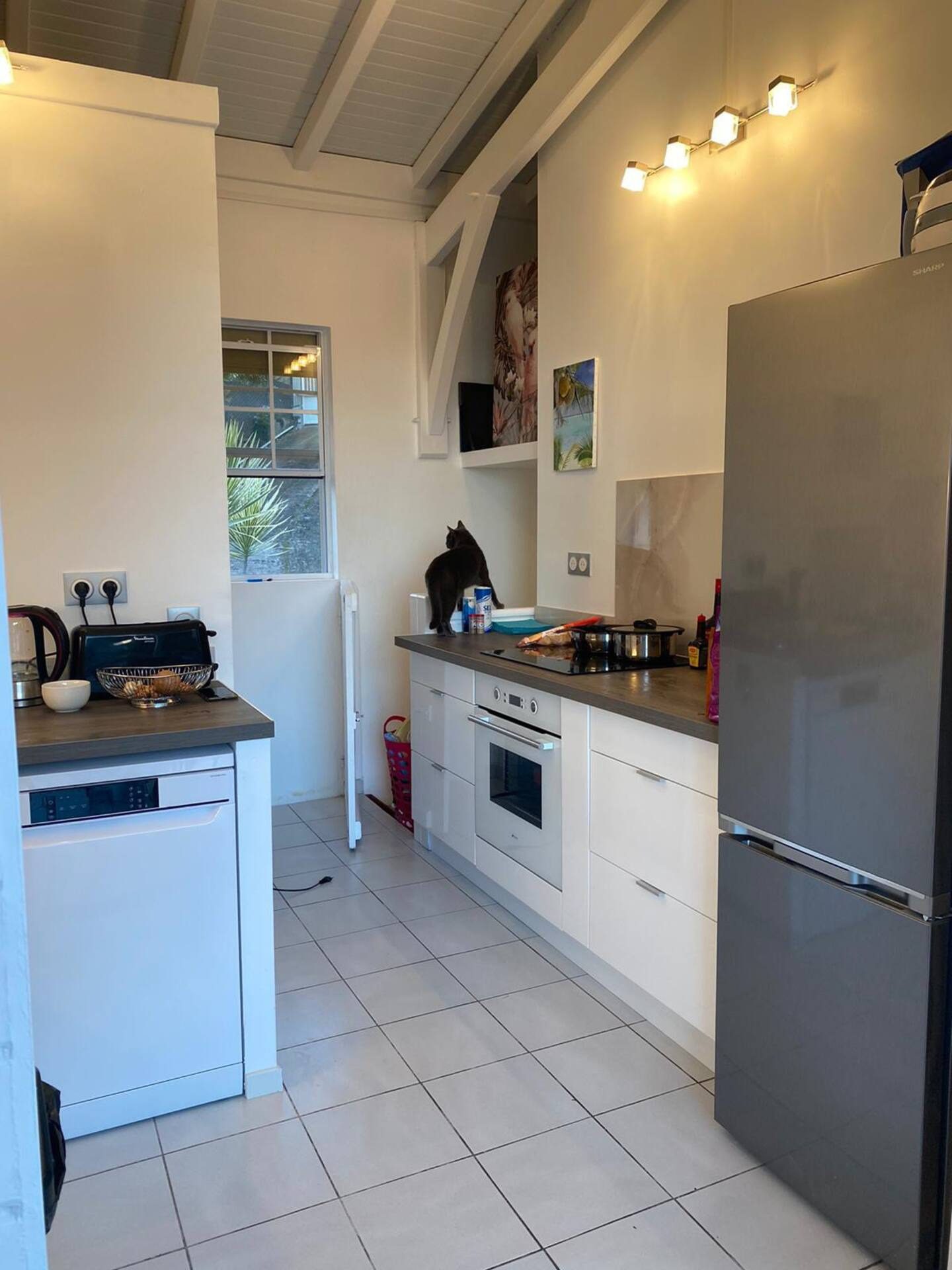 b3e3288d-1cf4-4ef4-9fcb-6832abf1