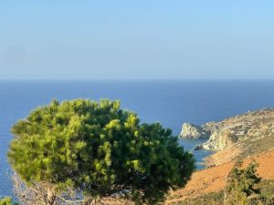 b58f7f49-8e58-4622-91e8-a9bf4756