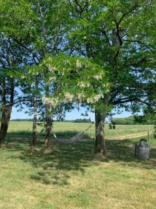 IMG_0498-d7373c1e973f11a79f7262057929f618