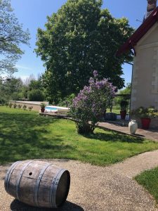 IMG_6484-f24284d74b6e8deec44f94801386901c