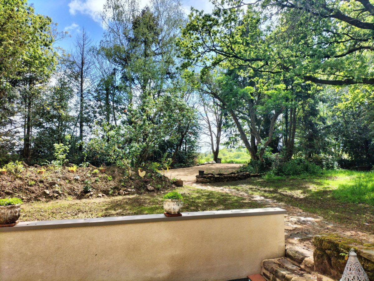 IMG20240506123823-7a5ce1d91064f03f43227595bb2eea60