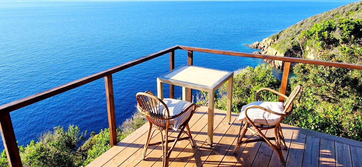 20240511_183718-a6c2fdd48ddd39e18fe2e4472c315309