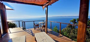 20240511_183949-e89c9ed0defe468bb8ec7fbd8aae400d