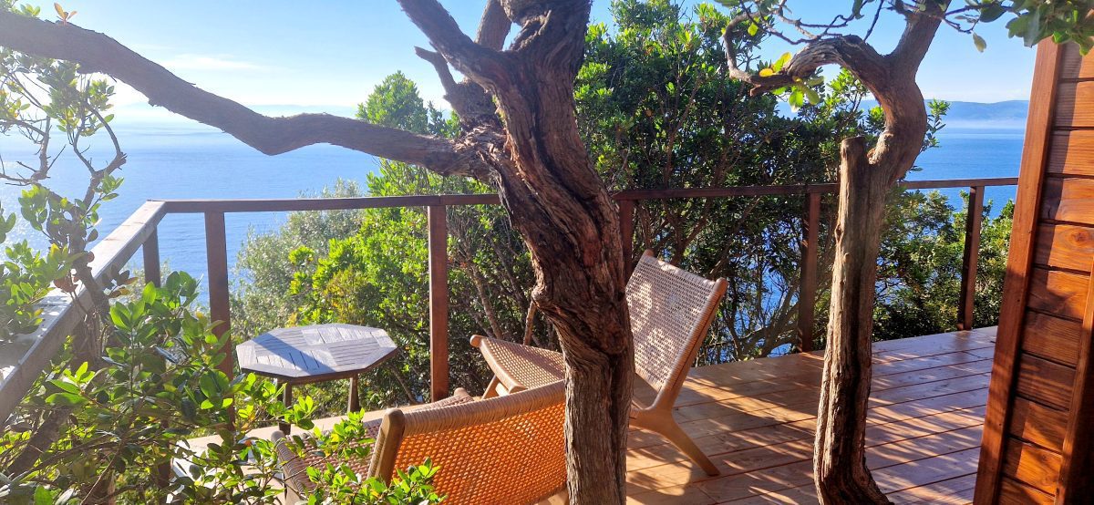 20240511_184218-74f06d1d84039e3e7f285249aa45a1d7