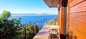 20240511_184254-164dba3e183e0f184096eed7b343fdc8