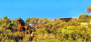 20240511_201233-a082aabf52c15acc59ea63456c051baf