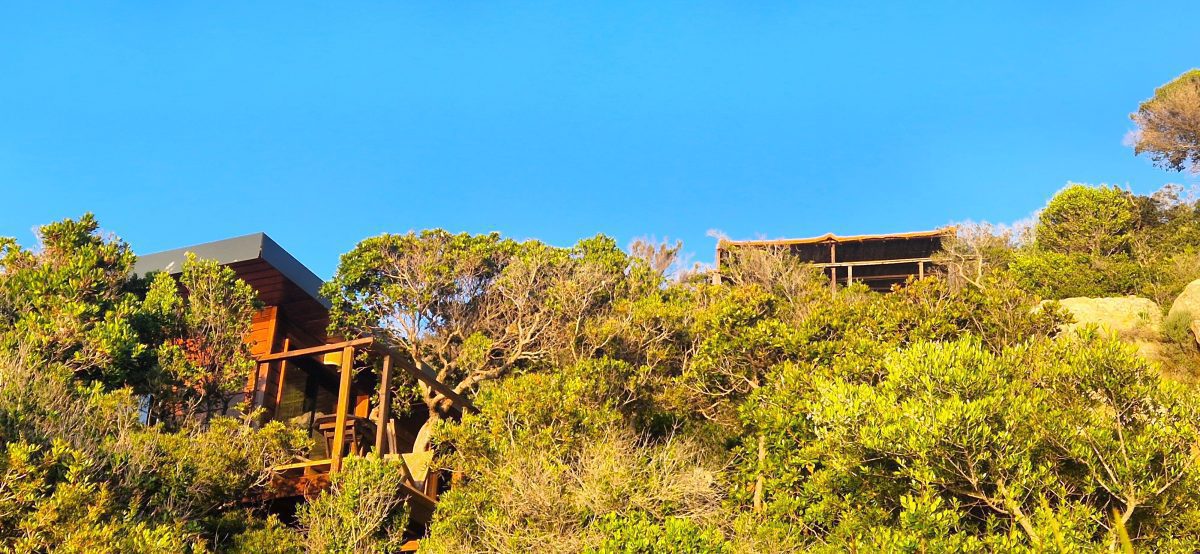 20240511_201233-a082aabf52c15acc59ea63456c051baf