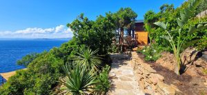 20240523_1601401-414dd98ac59b4b2cda1fccfb1c704a24