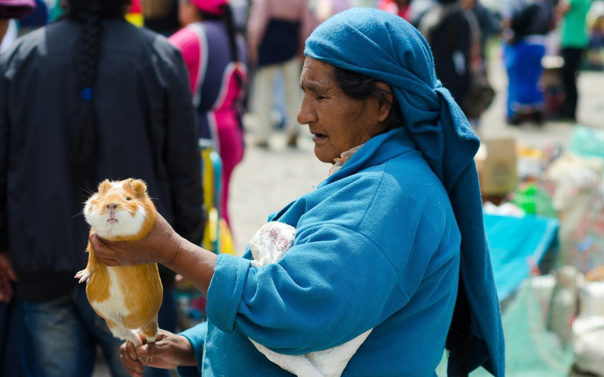 Otavalo