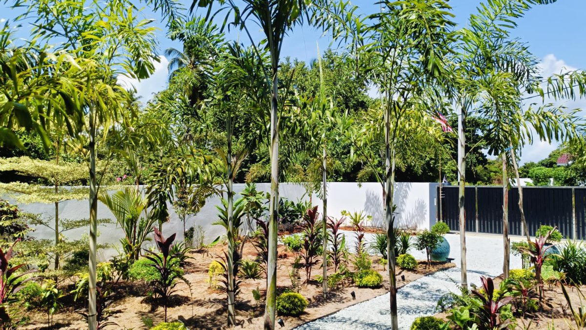 454314327_338910602625593_4928935365777054214_n