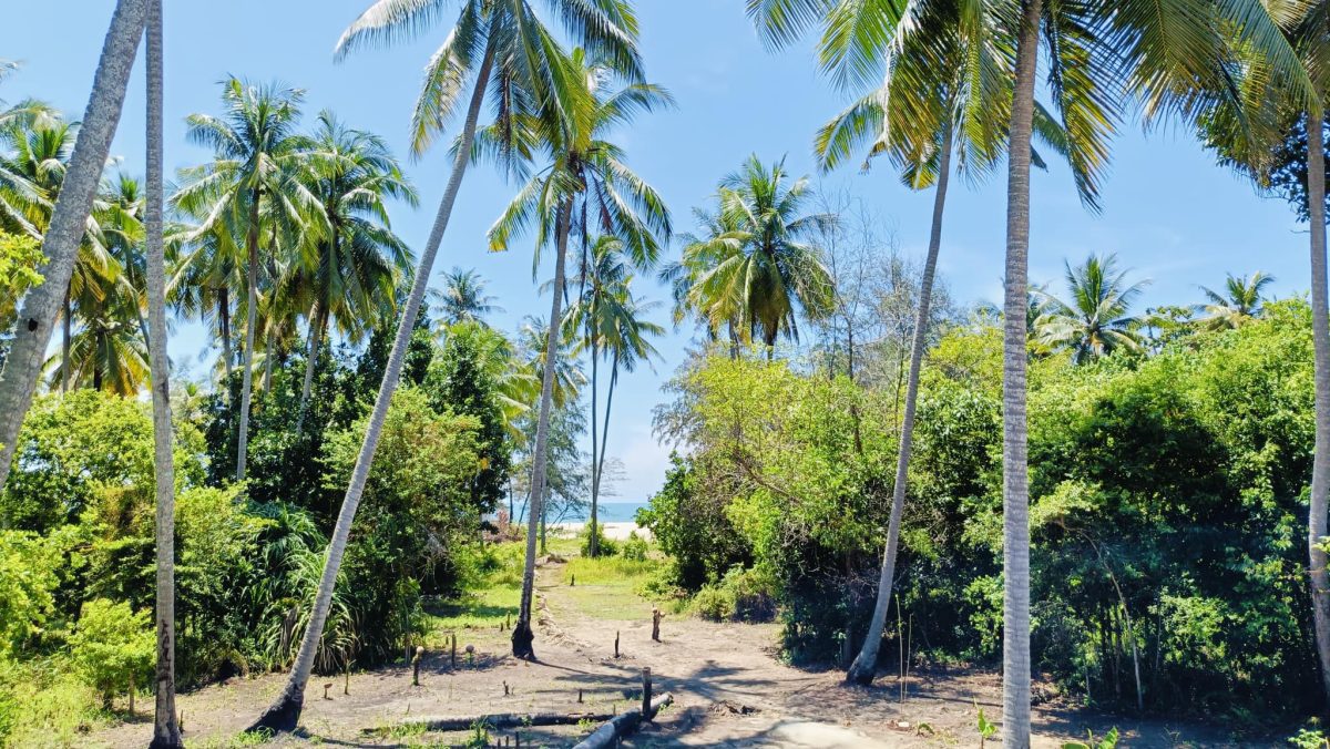 454370777_338912042625449_1605408990109562049_n