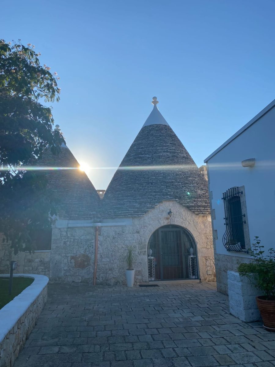 WhatsApp-Image-2024-11-30-at-18.27.06-6-a63faeb1e4b8cf4d70725ca707eb4efd