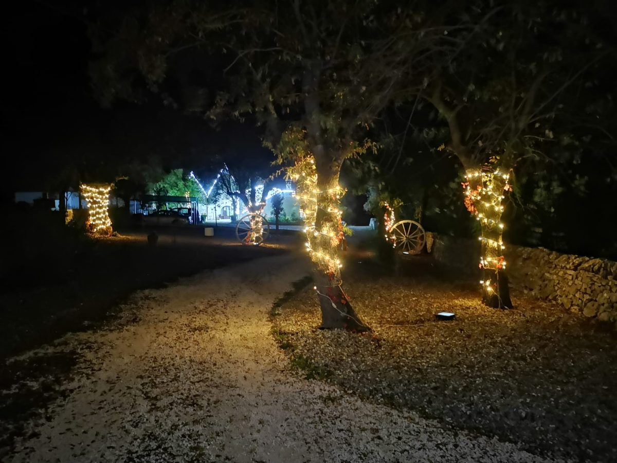 WhatsApp-Image-2024-11-30-at-18.30.24-6-08f7dcccda4cef07fe852f592a72dfb1