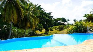 DSC02204-b96877d5a3ea3713da185d475d7ae603