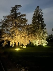 IMG_2921-b5411ec40f05e9b16432e6c4fc673f1d