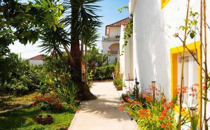 359177736_264087159699746_1685872945407484432_n-a5d634244b8b523a90b459a12b4ee29d