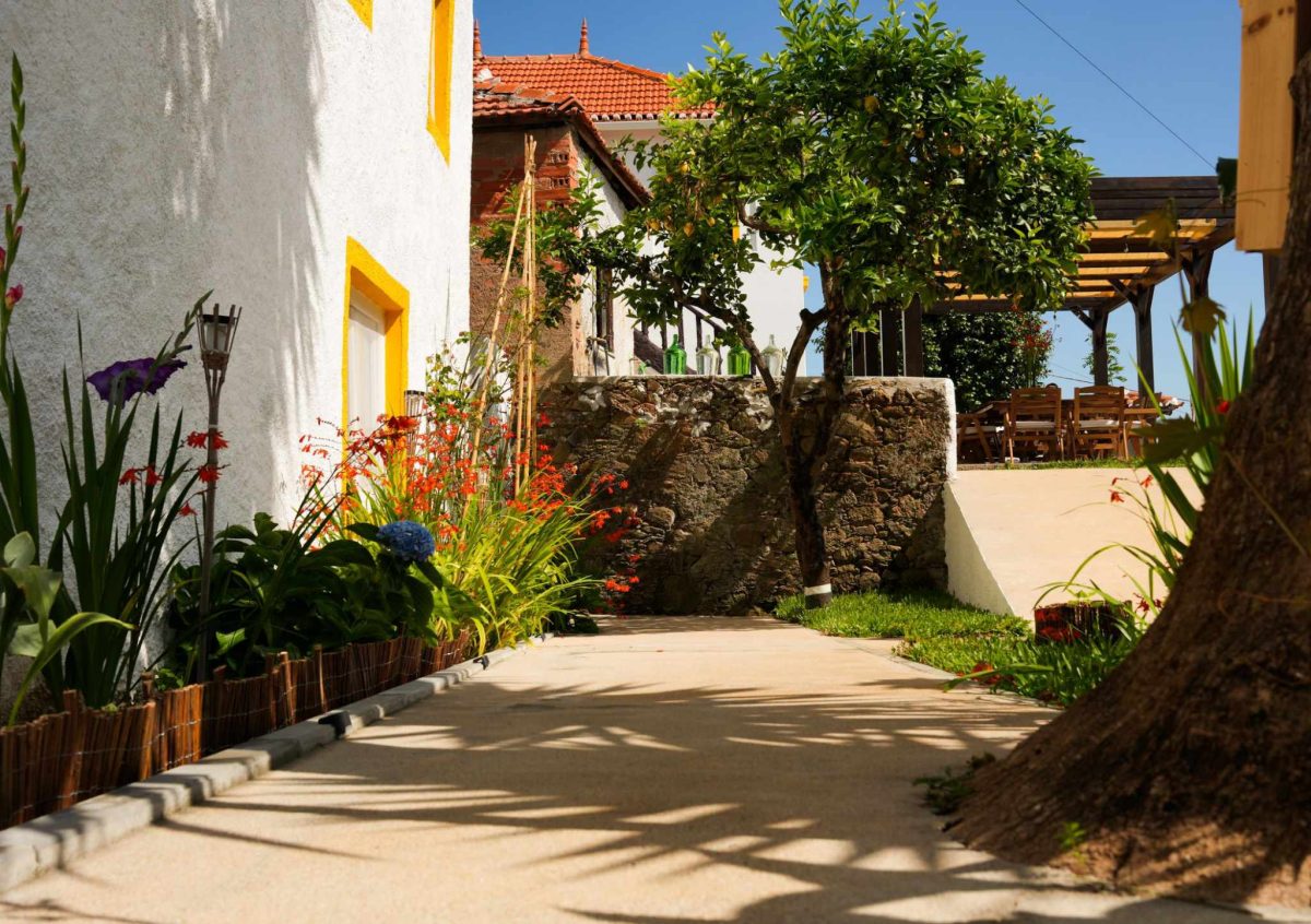 364225066_222437420779064_5215308960588068699_n-ab2e86392fb93df43323091492b4f403