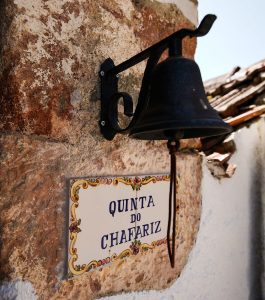 366773693_286882847317205_5691920718979140460_n-2b8b5827edbcaa13010f0fea79c58adb