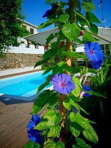 WhatsApp-Image-2024-10-30-a-11.37.31_25db4d9a-036ab279a946a0ae556ce9ae961c3a44