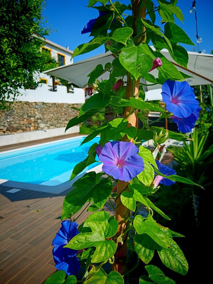 WhatsApp-Image-2024-10-30-a-11.37.31_25db4d9a-036ab279a946a0ae556ce9ae961c3a44