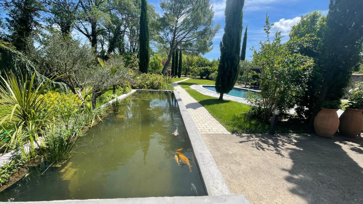 bassin-eb80c53644c5691e6c38f3e36a3d3f1e