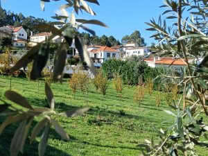 dec-05-03-46f8fd8fceee6166676d2982c1f66a8e