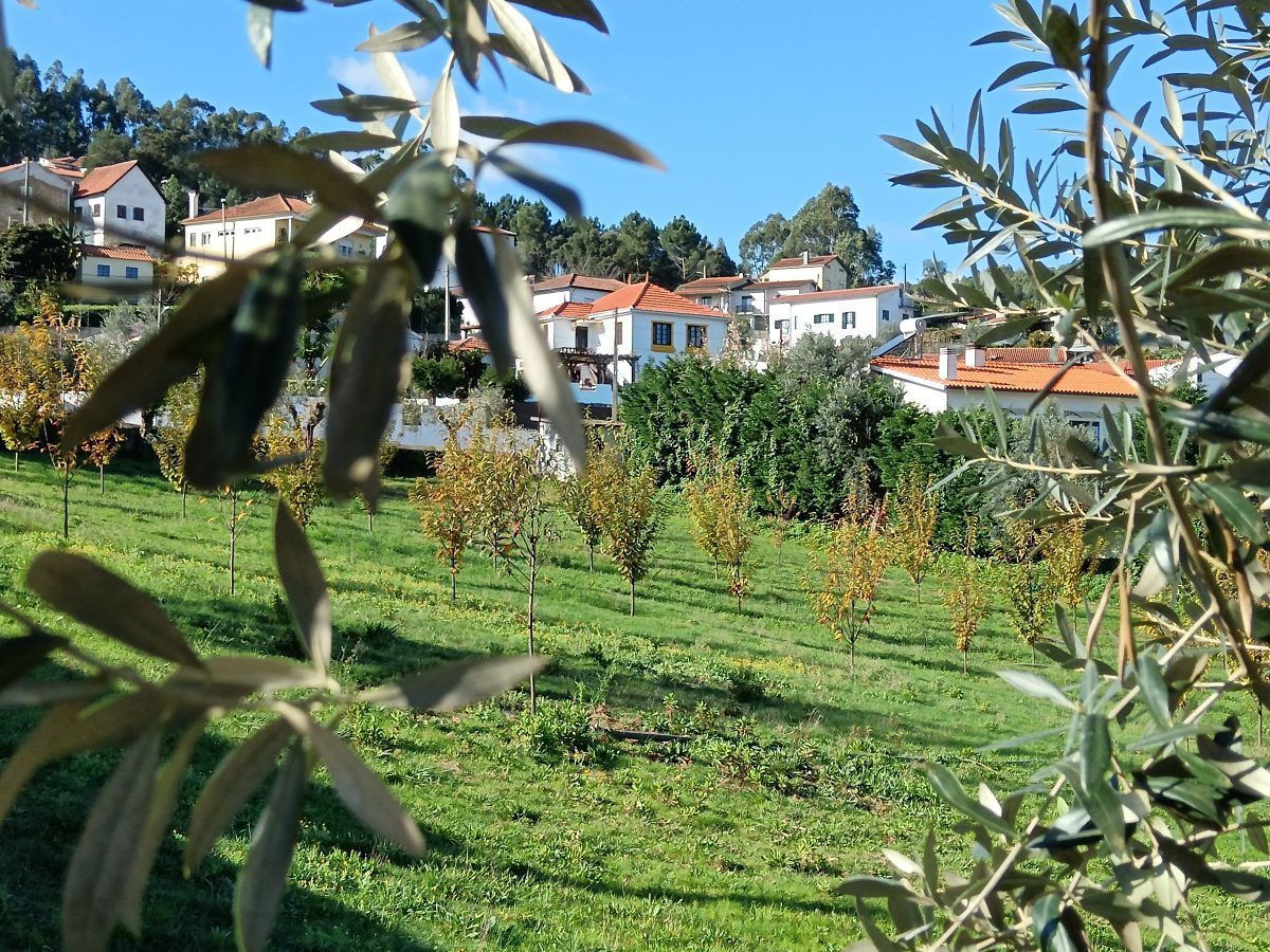 dec-05-03-46f8fd8fceee6166676d2982c1f66a8e