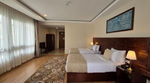 deluxe-twin-g1-1-qq4j85jakxucjtqmjwdwf0urtf1ehn667pk7qp59tk