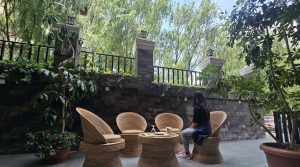 dining-g1-qq9kl2m9fjfvd64c926qih210qtto8iz6uwor8nim0