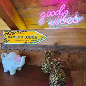 486033309_666975025696645_6887444014503955291_n-b4d35a26966f3c8a52383f0de1cbb991