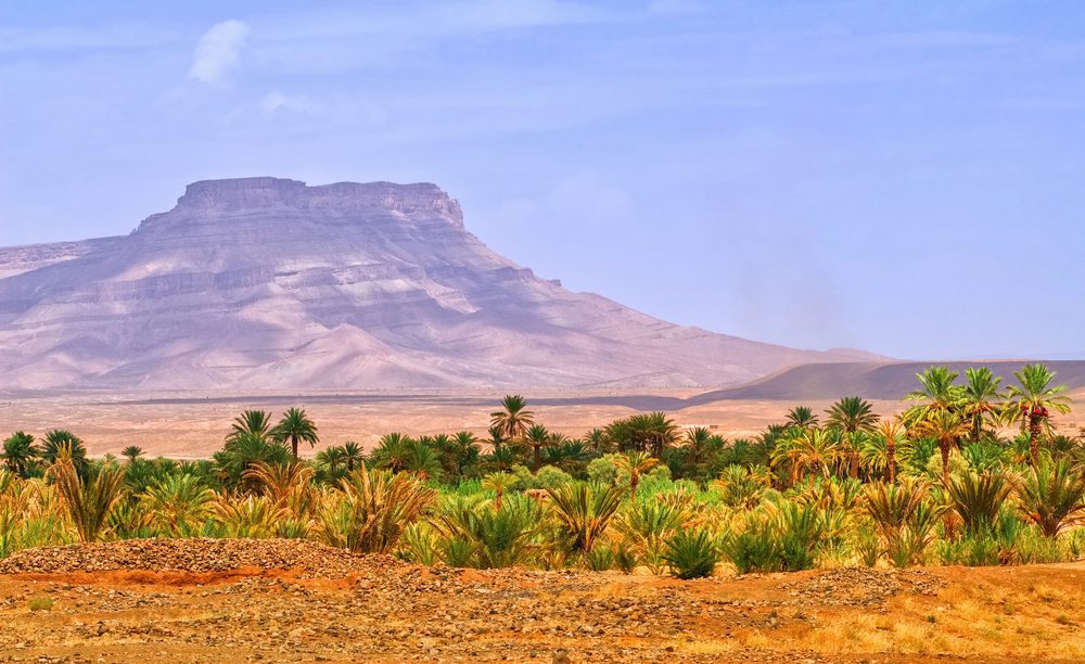 La vallée de la Draa : Un voyage à travers les palmeraies
