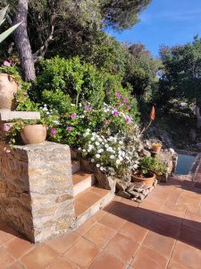 20230421_175040-86006f3ed5ad92982ae8c602b63c035d