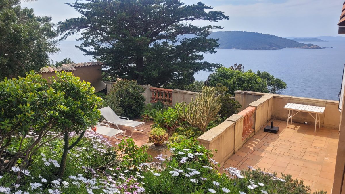 20250408_145050-c0ba519f8c93f39ea2605427bacccddb