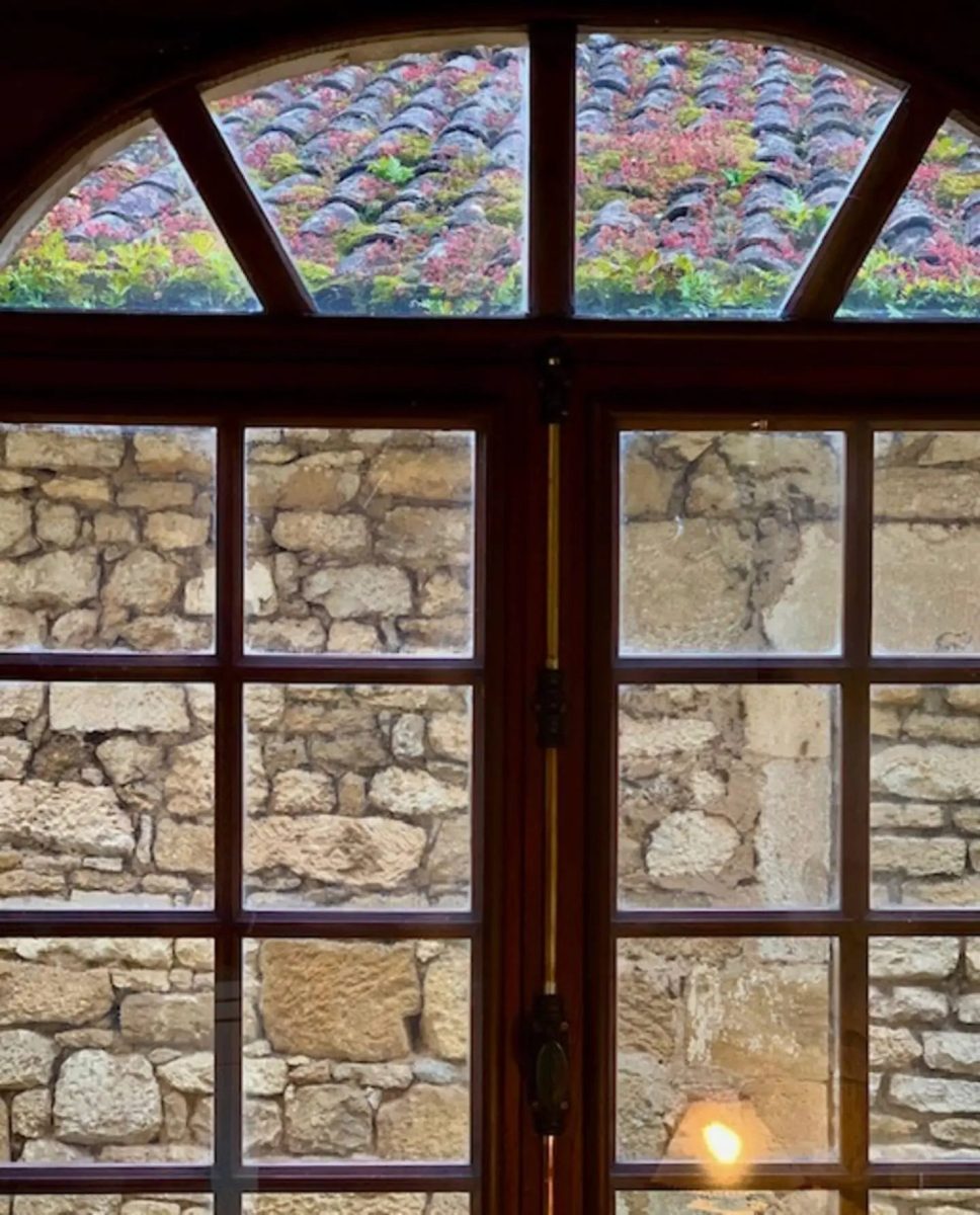 55d77e9f-9f5d-4696-9300-2c99053e4e70