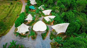 GBH_drone-1-c84f587e415129d6b951bdb427bdf539