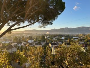 IMG_1708-3bee4a67837dc02b7af467fe6624efec