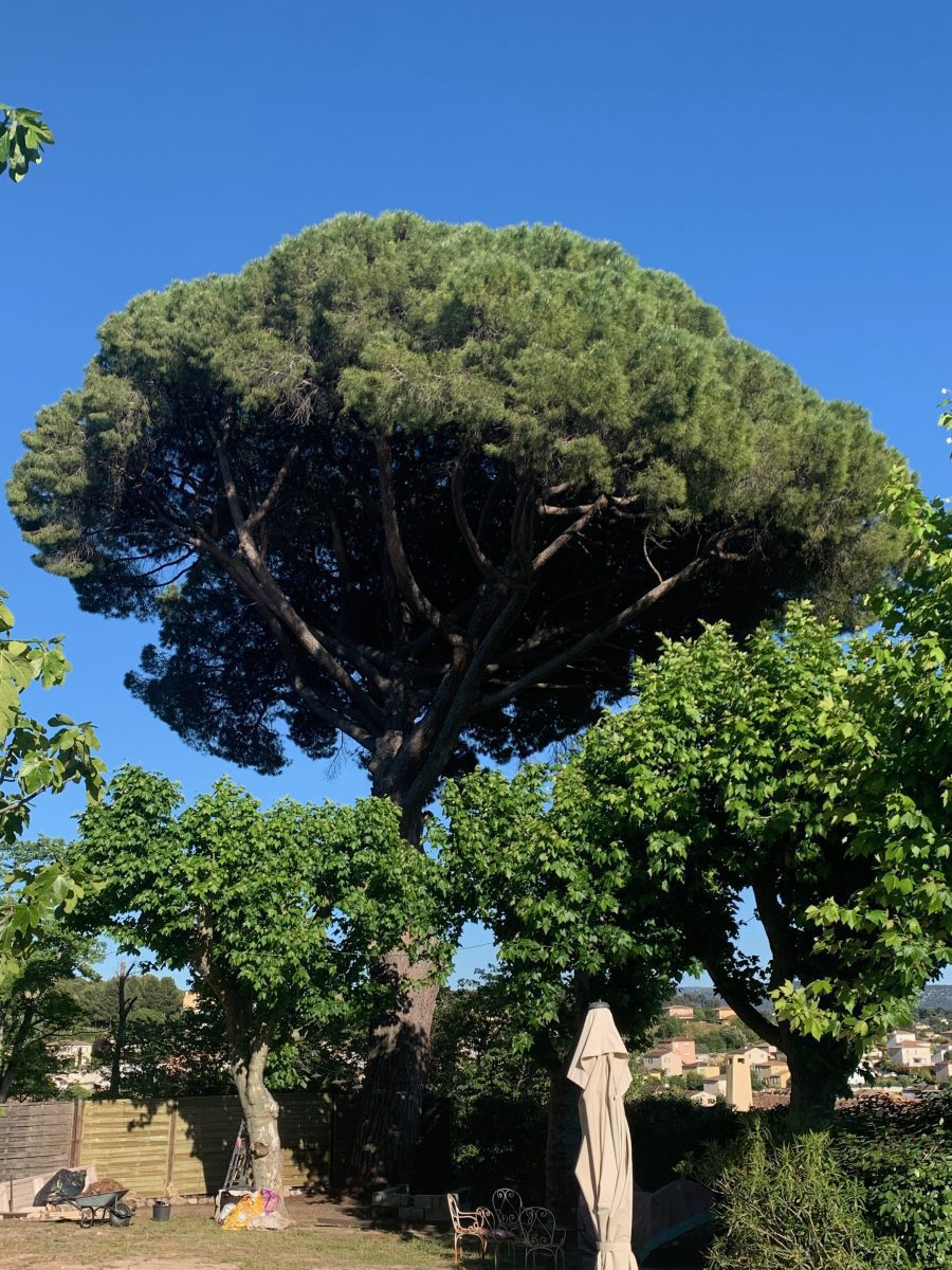 IMG_5125-bfaa5b4935727426337691d7f087a203