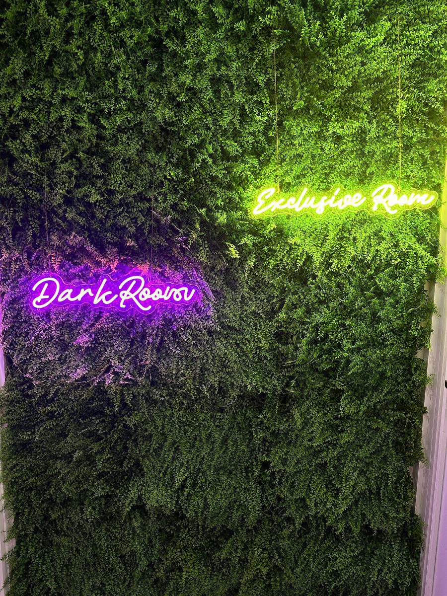 IMG_5416-c5e62978e2d6d6cc48e1295f0f7db755