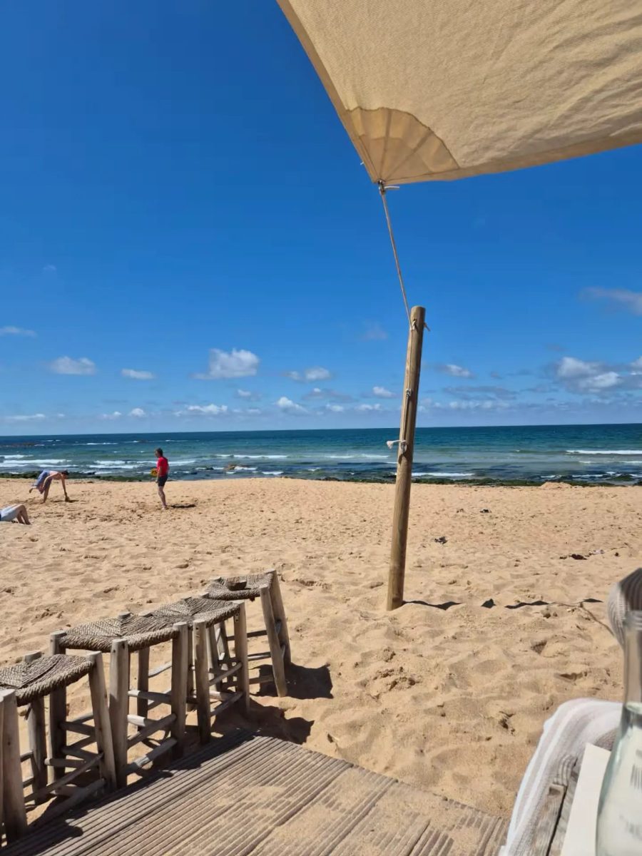 d5d92289-294a-41d0-a4df-aa8778288805