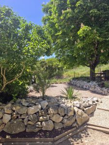 20250514_1328532-db30c1dc892080ccc88108823665ac20