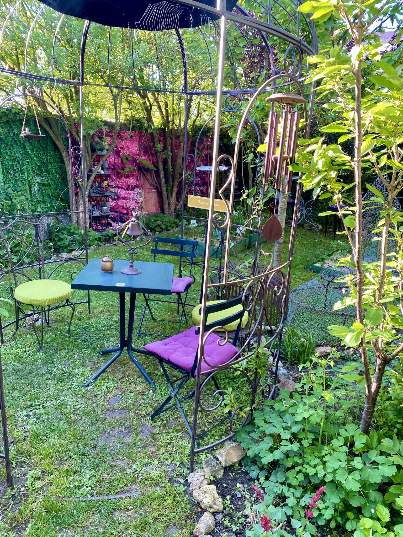 IMG_4492-c8aa087642293f5c0485c4e1cc3f7c48