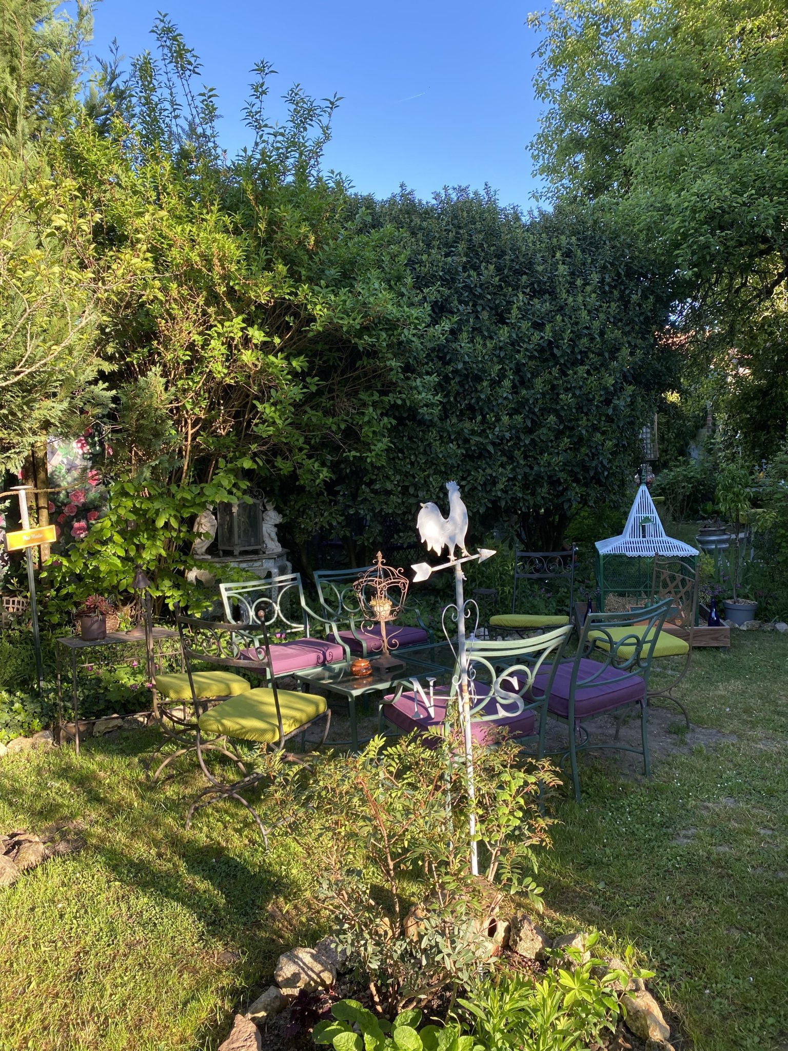 IMG_4496-f3e95bbf286df1b77e06a6c28bfd0c1a